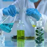 Was ist Bitesolgemokz